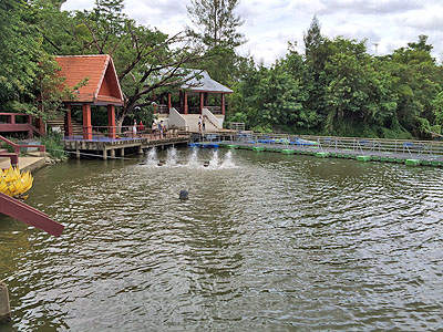 タイで早期リタイア・ホアヒンブログ